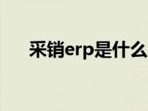 采销erp是什么意思（erp是什么意思）