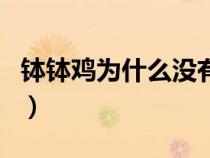 钵钵鸡为什么没有鸡（钵钵鸡为什么叫钵钵鸡）