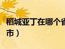 稻城亚丁在哪个省哪个市（稻城在哪个省哪个市）