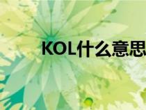 KOL什么意思 医学（kol什么意思）