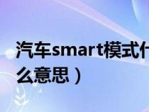 汽车smart模式什么意思（车上的smart是什么意思）