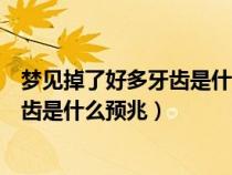 梦见掉了好多牙齿是什么征兆周公解梦（梦见掉了好多颗牙齿是什么预兆）