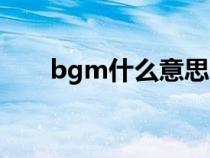 bgm什么意思中文（bgm什么意思）