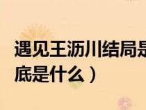 遇见王沥川结局是怎样的（遇见王沥川结局到底是什么）