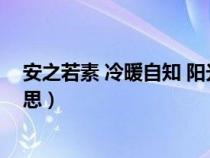 安之若素 冷暖自知 阳光很好（安之若素冷暖自知是什么意思）