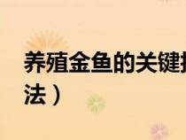 养殖金鱼的关键技术有哪些?（养殖金鱼的方法）