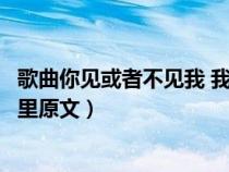 歌曲你见或者不见我 我就在那里（你见或者不见我我就在那里原文）