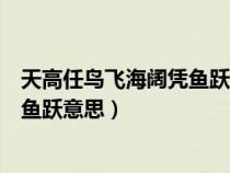 天高任鸟飞海阔凭鱼跃意思相近的句子（天高任鸟飞海阔凭鱼跃意思）