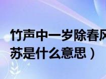 竹声中一岁除春风送暖入屠苏是什么意思（屠苏是什么意思）