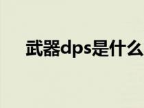 武器dps是什么意思（dps是什么意思）