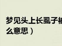 梦见头上长虱子被捉下来（梦到头上长虱子什么意思）