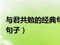 与君共勉的经典句子有哪些（与君共勉的经典句子）