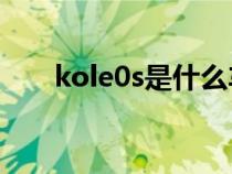 kole0s是什么车（kodiaq是什么车）