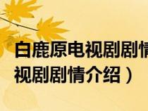 白鹿原电视剧剧情介绍田小娥结局（白鹿原电视剧剧情介绍）