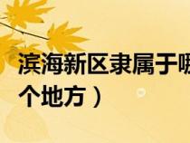 滨海新区隶属于哪个区（滨海新区属于天津哪个地方）