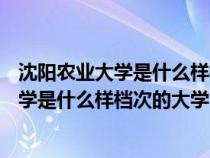 沈阳农业大学是什么样档次的大学?-52城市网（沈阳农业大学是什么样档次的大学）