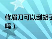 修眉刀可以刮胡子吗图片（修眉刀可以刮胡子吗）