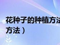 花种子的种植方法和注意事项（花种子的种植方法）