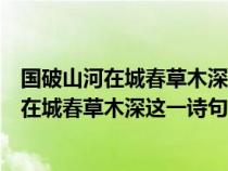 国破山河在城春草木深这一诗句的历史背景是啥（国破山河在城春草木深这一诗句的历史背景）