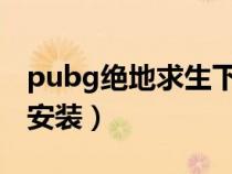 pubg绝地求生下载安装（绝地求生如何下载安装）