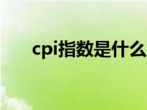 cpi指数是什么意思（cpi是什么意思）