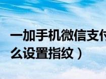 一加手机微信支付怎么设置指纹（微信支付怎么设置指纹）