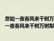 忽如一夜春风来千树万树梨花开什么意思有什么作用（忽如一夜春风来千树万树梨花开什么意思）