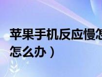 苹果手机反应慢怎么办解决（苹果手机反应慢怎么办）