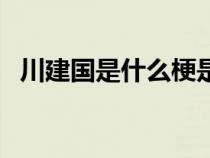 川建国是什么梗是真的（川建国是什么梗）