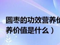 圆枣的功效营养价值是什么呢（圆枣的功效营养价值是什么）