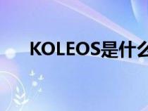 KOLEOS是什么车（koleos是什么车）