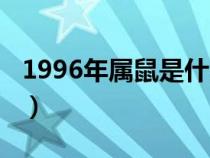 1996年属鼠是什么命（1994年属狗是什么命）