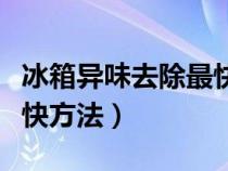 冰箱异味去除最快方法如下（冰箱异味去除最快方法）