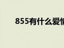 855有什么爱情含义吗（855的含义）