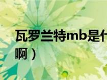 瓦罗兰特mb是什么意思啊（mb是什么意思啊）