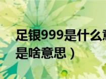 足银999是什么意思多少钱一克9（足银999是啥意思）