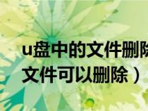 u盘中的文件删除了怎么恢复（电脑c盘哪些文件可以删除）