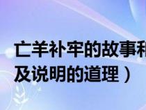 亡羊补牢的故事和寓意（亡羊补牢的故事来源及说明的道理）