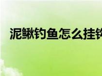 泥鳅钓鱼怎么挂钩视频（泥鳅钓鱼的挂法）