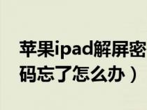 苹果ipad解屏密码忘了怎么办（ipad解屏密码忘了怎么办）