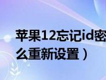 苹果12忘记id密码怎么重新设置（id密码怎么重新设置）