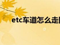 etc车道怎么走图解（什么是ETC车道）