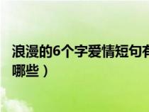 浪漫的6个字爱情短句有哪些成语（浪漫的6个字爱情短句有哪些）