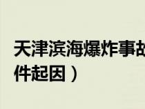 天津滨海爆炸事故处理结果（天津滨海爆炸事件起因）