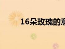 16朵玫瑰的意义（16朵玫瑰意思）