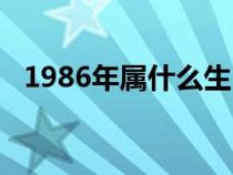 1986年属什么生肖（1988年属什么生肖）