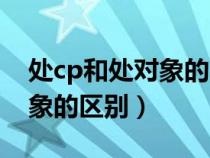 处cp和处对象的区别要说什么（处cp和处对象的区别）