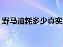 野马油耗多少真实油耗（野马油耗多少油耗）