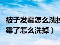 被子发霉怎么洗掉黑斑的小妙招视频（被子发霉了怎么洗掉）