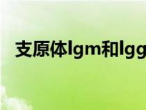 支原体lgm和lgg什么意思（gg什么意思）